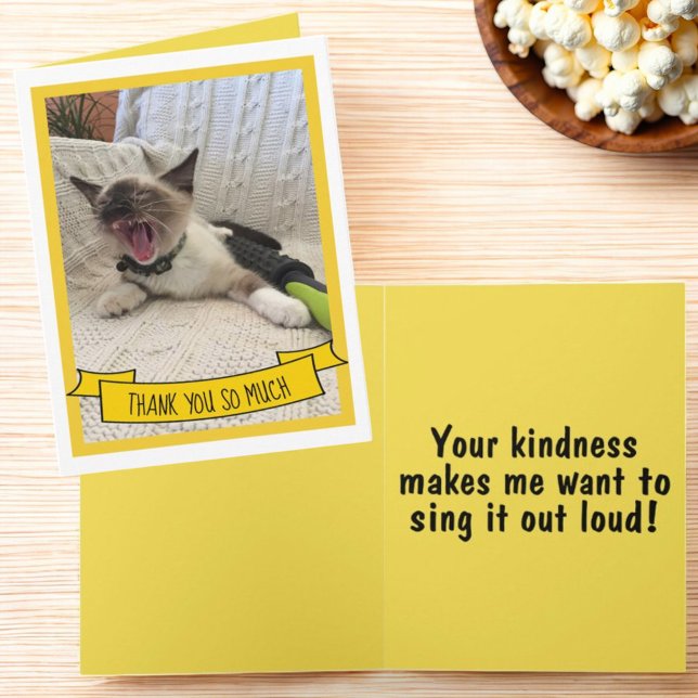 Humorous Thank You So Much Siamese Kitten Photo (Folded greeting card thank you template cover & inside)