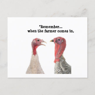 Humorous Thanksgiving Turkey Advice Postcard