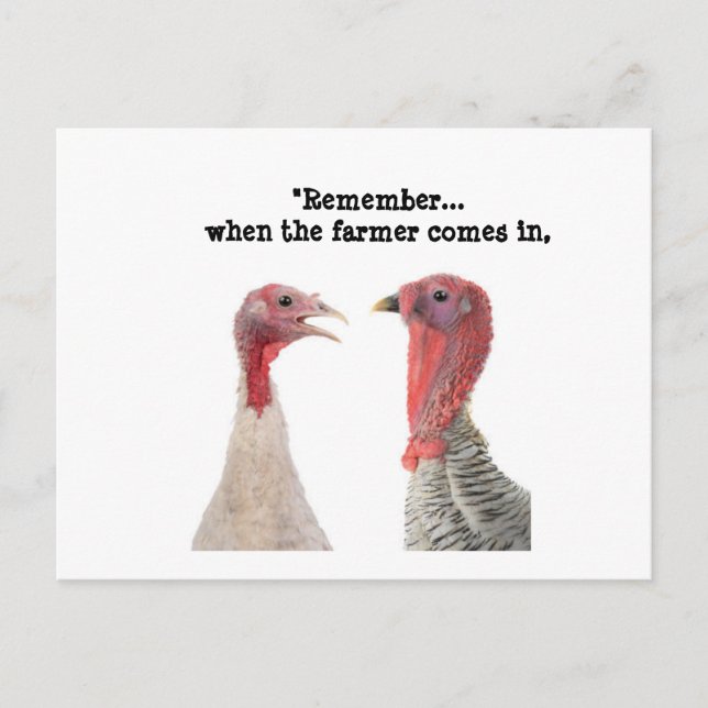 Humorous Thanksgiving Turkey Advice Postcard (Front)