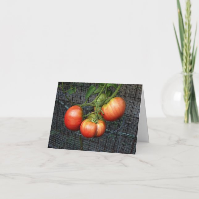 Humorous therapy tomato garden  greeting card (Front)