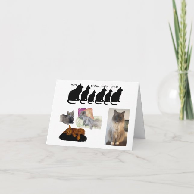 Humorous Thought about Cats Card (Front)