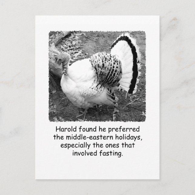 Humorous Turkey Thanksgiving Post Card (Front)