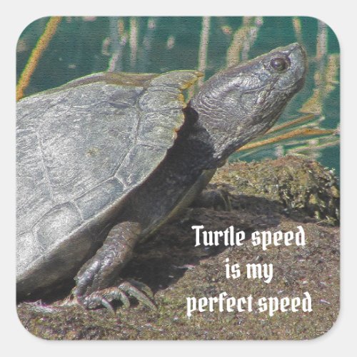Humorous Turtle Speed is my Favorite Speed Animal Square Sticker