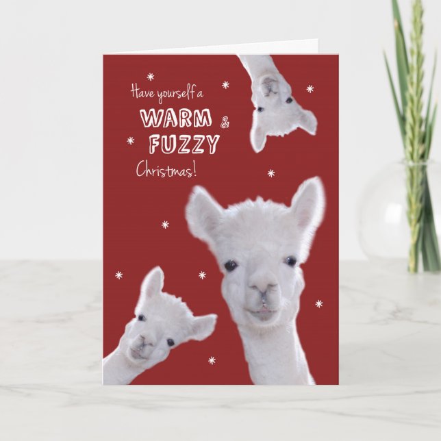 Humorous Warm & Fuzzy Christmas Card with Llamas (Front)