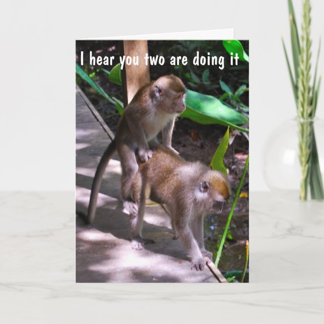 Humorous Wedding Best Wishes for a Special Couple Card (Front)