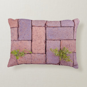 Humorous Weeds Paving Stones Walkway Pattern Accent Pillow