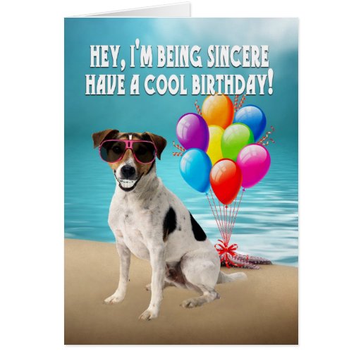 humourous dogy birthday card - happy jack russel d | Zazzle