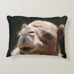 Hump Day Camel Accent Pillow