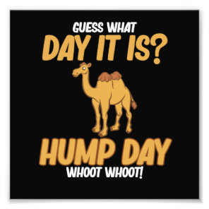 Hump Day Camel Animal Lover Camels Pet Owner Graph Photo Print