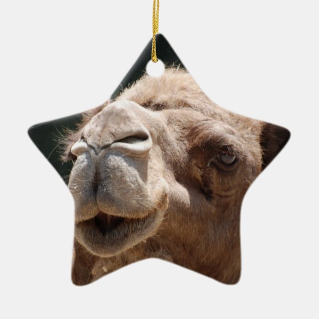 Hump Day Camel Ceramic Ornament (Front)