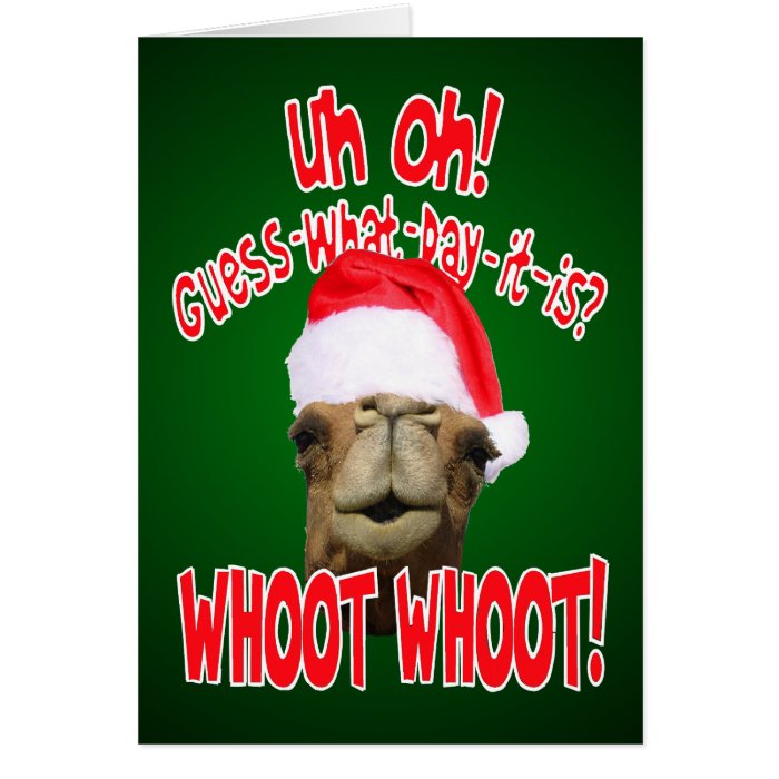 Hump Day Camel Christmas Greeting Cards