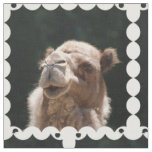 Hump Day Camel Fabric