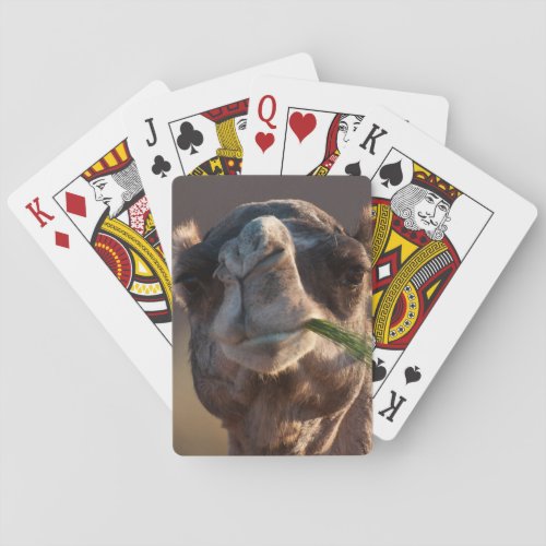 Hump Day Camel Feasting on Green Grass Playing Cards