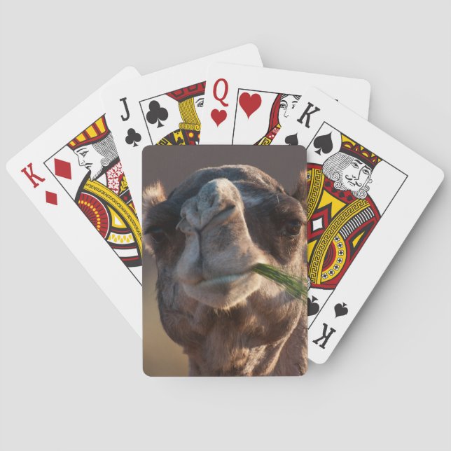Hump Day Camel Feasting on Green Grass Poker Cards (Back)