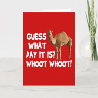 Hump Day Camel Guess What Day It Is Card