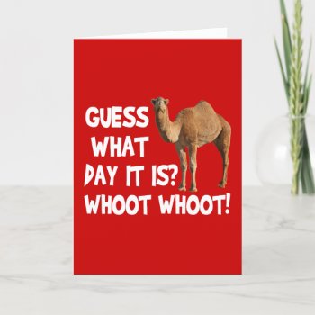 Hump Day Camel Guess What Day It Is Card by LaughingShirts at Zazzle