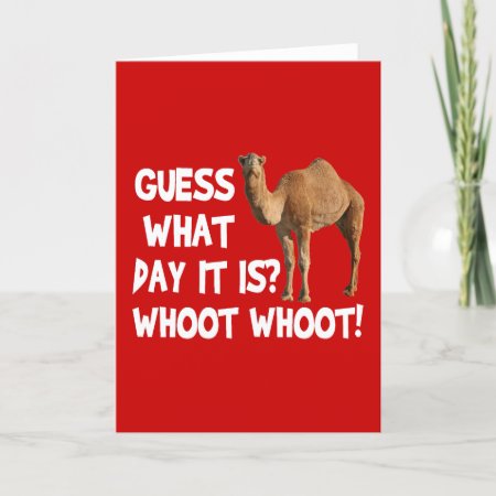 Hump Day Camel Guess What Day It Is Card