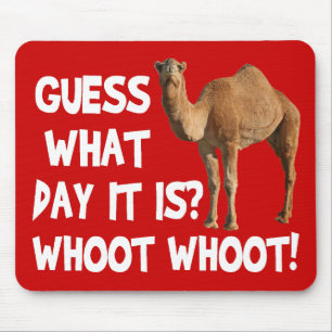 Hump Day Camel Guess What Day It Is Mouse Pad