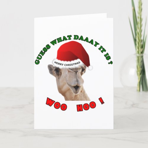 hump day camel merry christmas holiday card