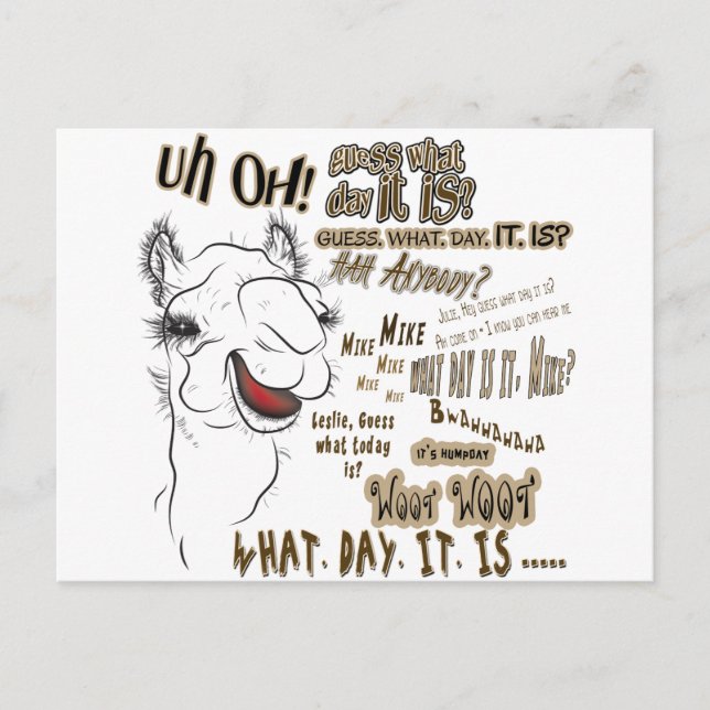 Hump Day Camel Postcard (Front)