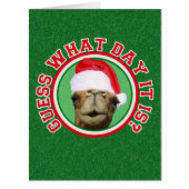 Hump Day Camel Santa Christmas BIG Greeting Cards (Front)