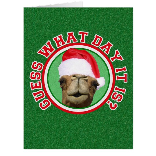 Hump Day Camel Santa Christmas Big Greeting Cards Zazzle Com