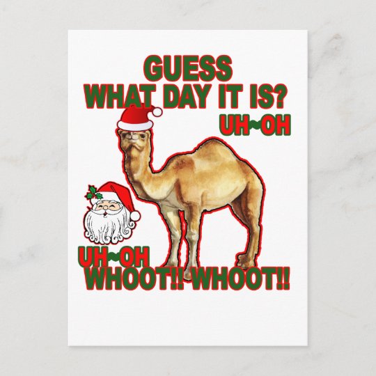 Hump Day Camel Santa Christmas T Shirt Nj Png Holiday Postcard Zazzle Com