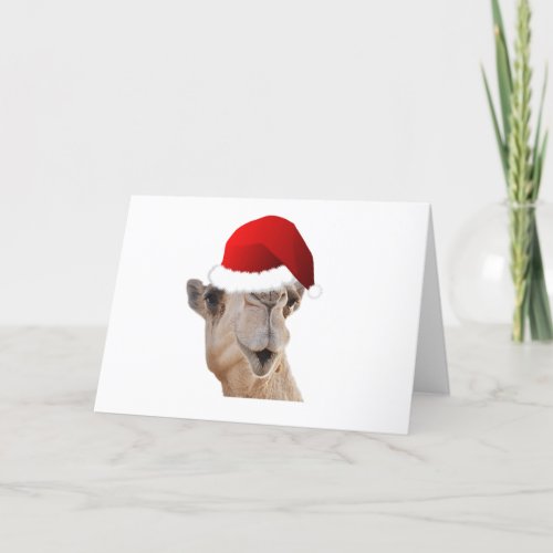 Hump Day Camel Santa Claus Hat Holiday Card