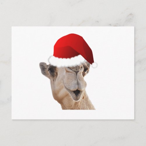 Hump Day Camel Santa Claus Hat Holiday Postcard