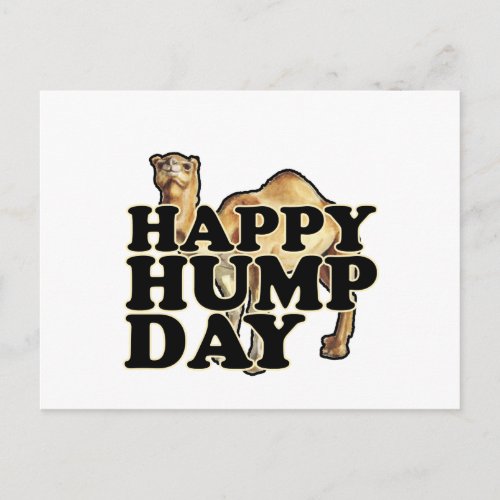 Hump Day Camel T Shirts Mpng Postcard