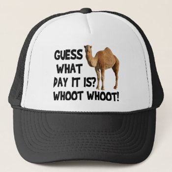 Hump Day Camel Trucker Hat by LaughingShirts at Zazzle