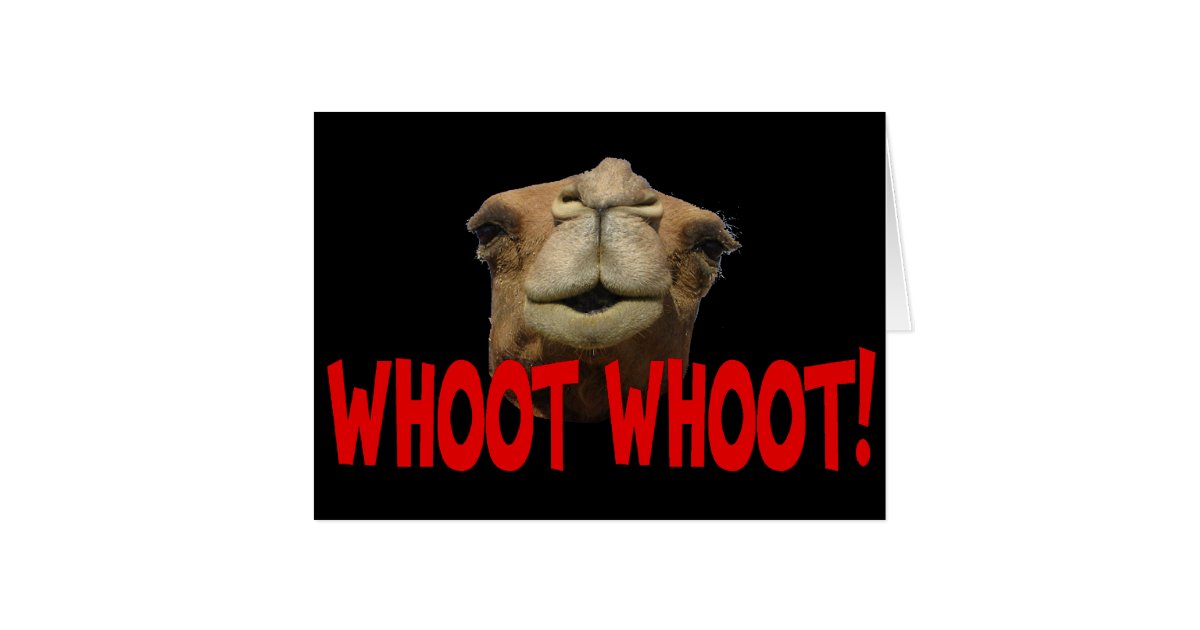 Hump Day Camel Whoot Whoot Greeting Card | Zazzle.com