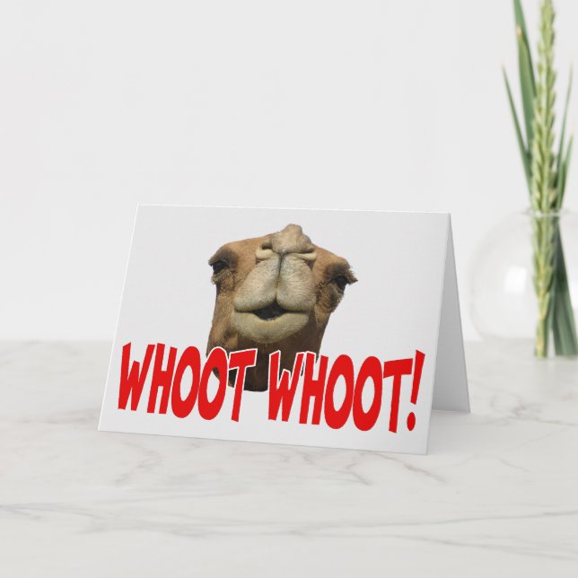Hump Day Camel Whoot Whoot Greeting Card (Front)