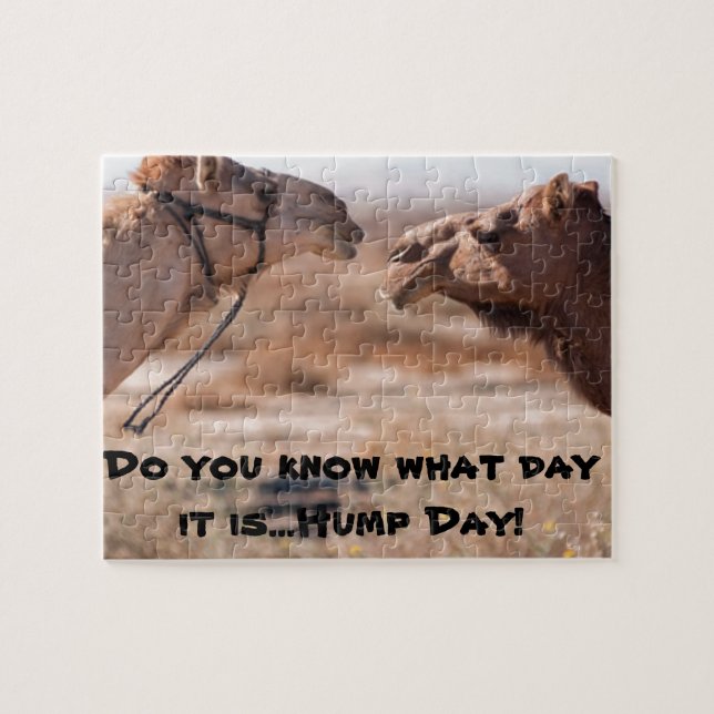 Hump Day Camels Jigsaw Puzzle (Horizontal)