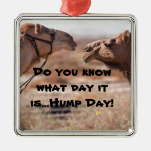 Hump Day Camels Metal Ornament