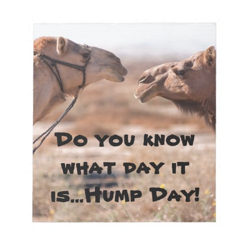 Hump Day Camels Notepad