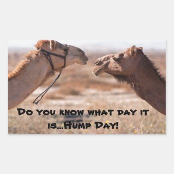Hump Day Camels Rectangular Sticker by JustTeez at Zazzle