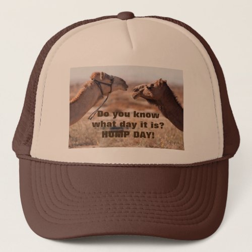 Hump Day Camels Trucker Hat