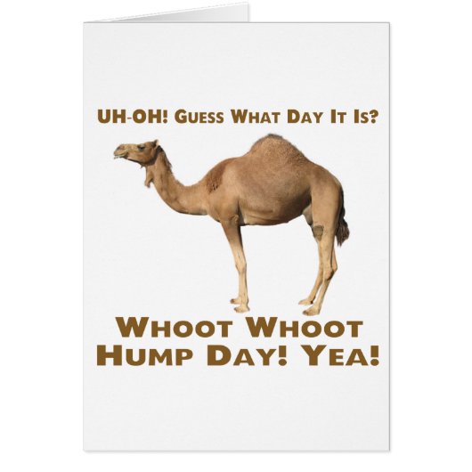 Hump Day Cards (Front)