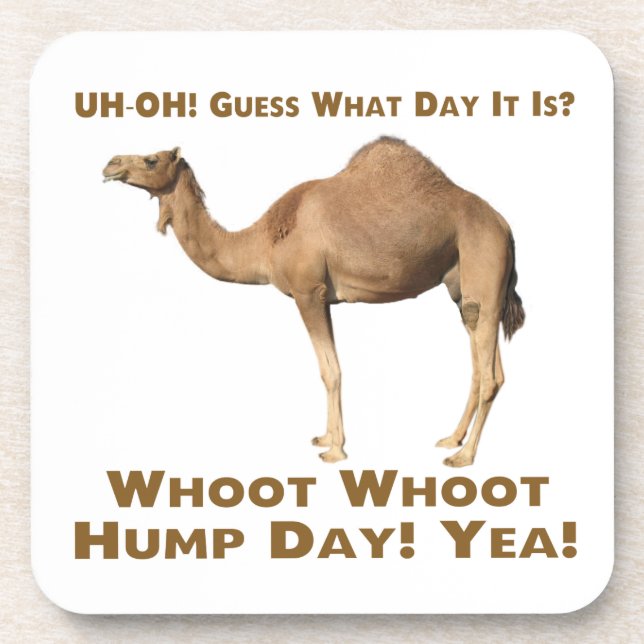 Hump Day Coaster (Front)
