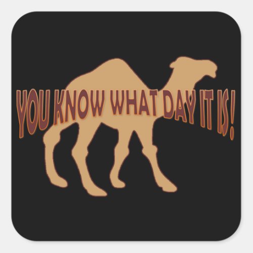 HUMP DAY HUMP DAY CAMEL SQUARE STICKER