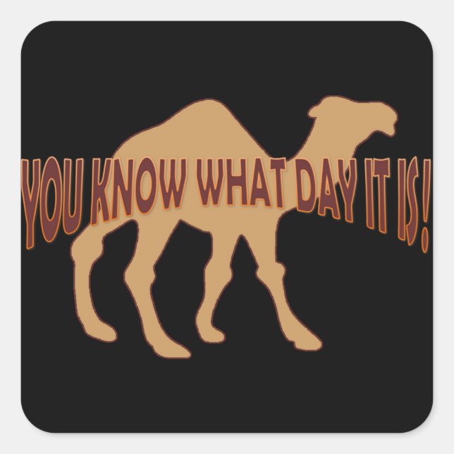 HUMP DAY HUMP DAY CAMEL SQUARE STICKER (Front)