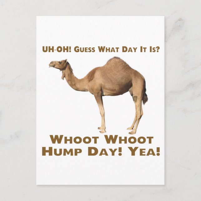 Hump Day Postcard (Front)