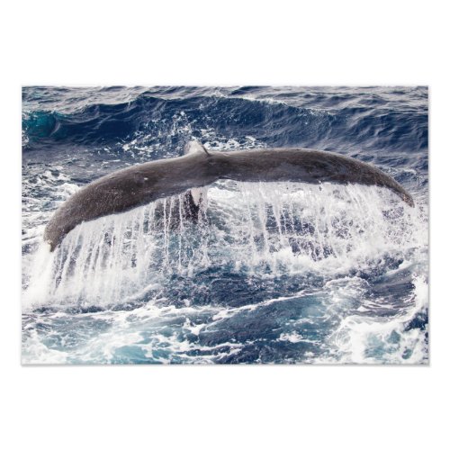 Humpback Waterfall Photo Print