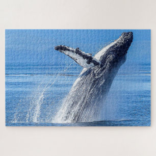 Humpback Whale Alaska Jigsaw Puzzle