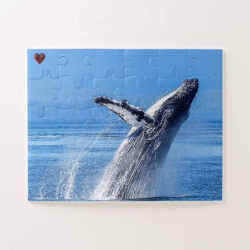 Humpback Whale Alaska Jigsaw Puzzle