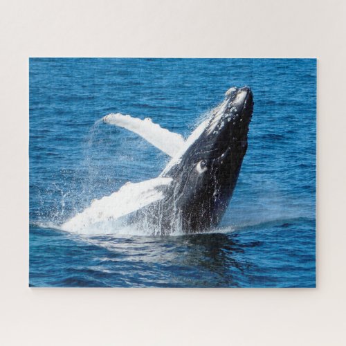 Humpback Whale Alaska Jigsaw Puzzle