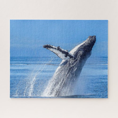 Humpback Whale Alaska Jigsaw Puzzle