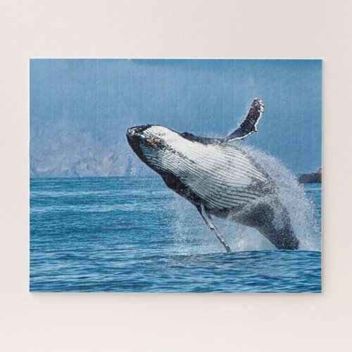 Humpback Whale Alaska Jigsaw Puzzle