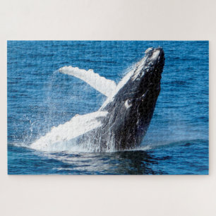 Humpback Whale Alaska Jigsaw Puzzle